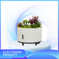 Cool Mist Humidifier