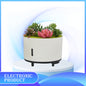 Cool Mist Humidifier
