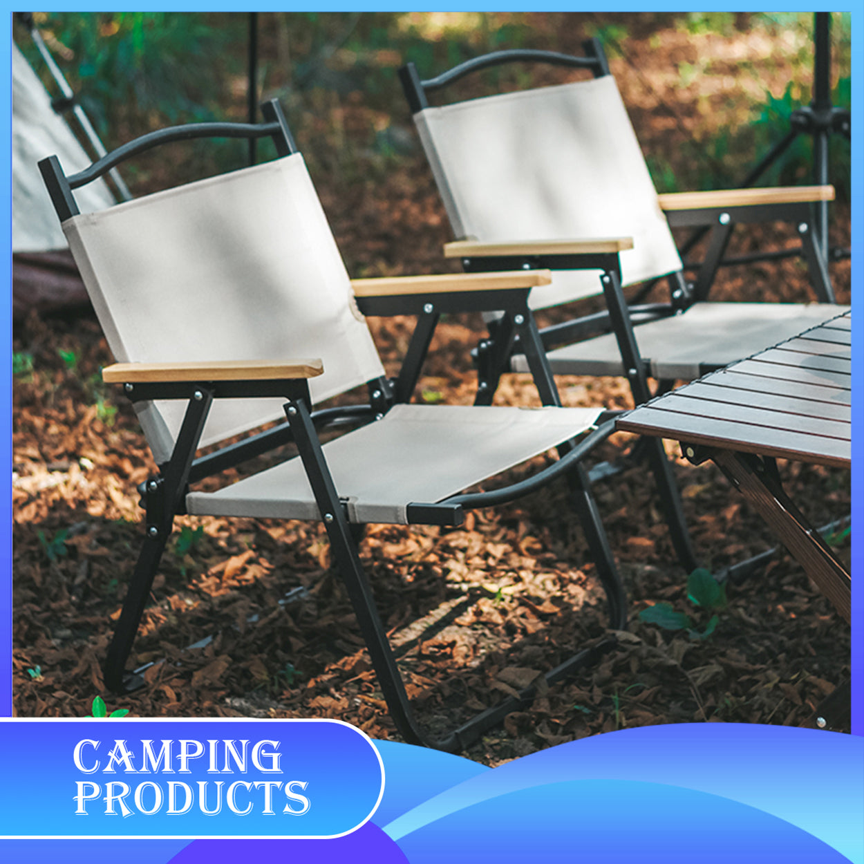 Folding Camping Chair