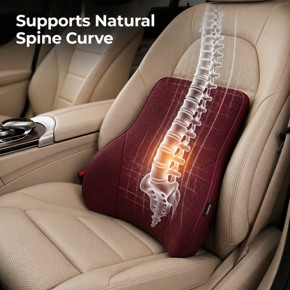 Headrest Pillow & Lumbar Cushion Combo