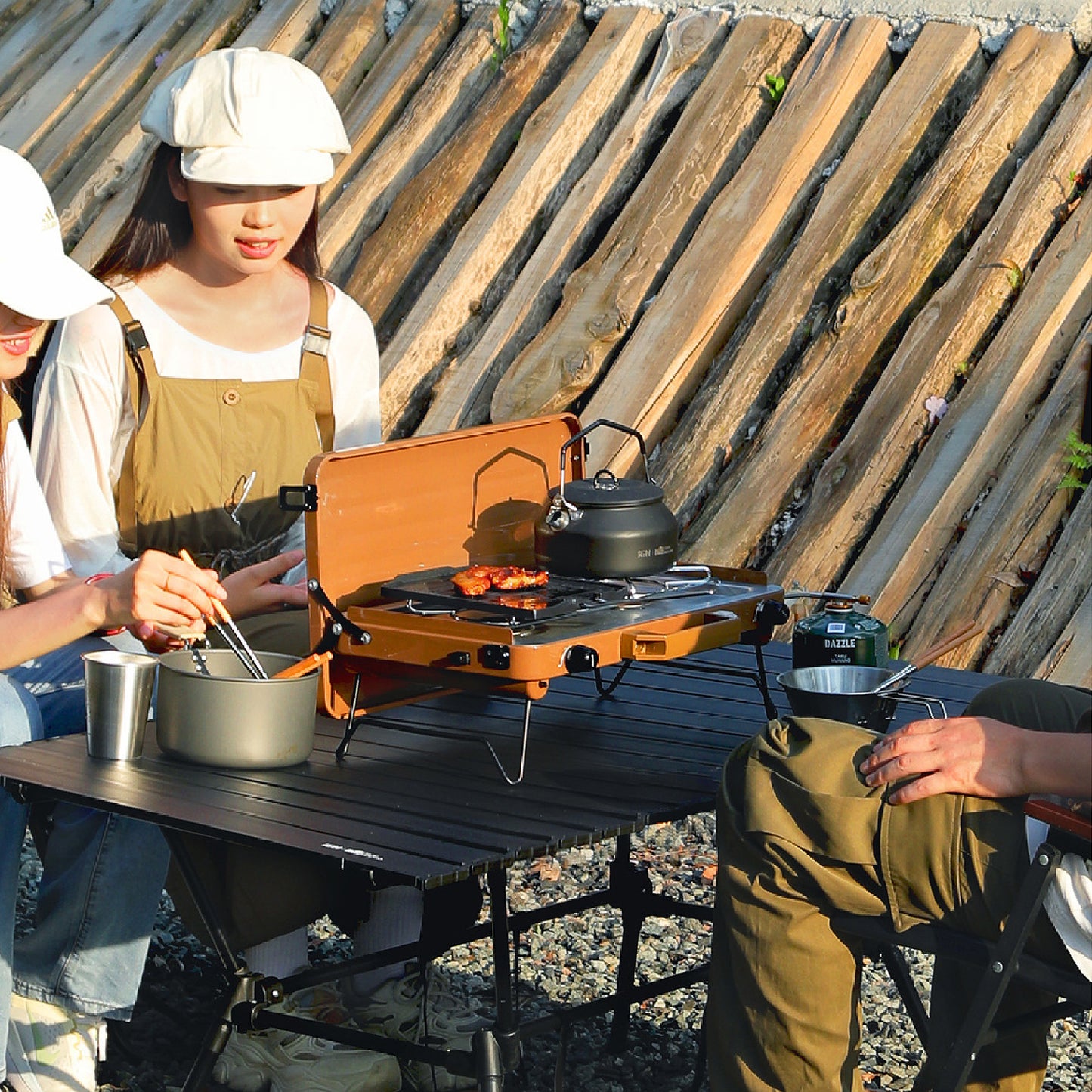 Portable 2-Burner Camping Stove