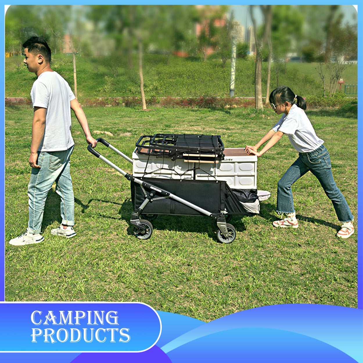 Folding Trolley Cart