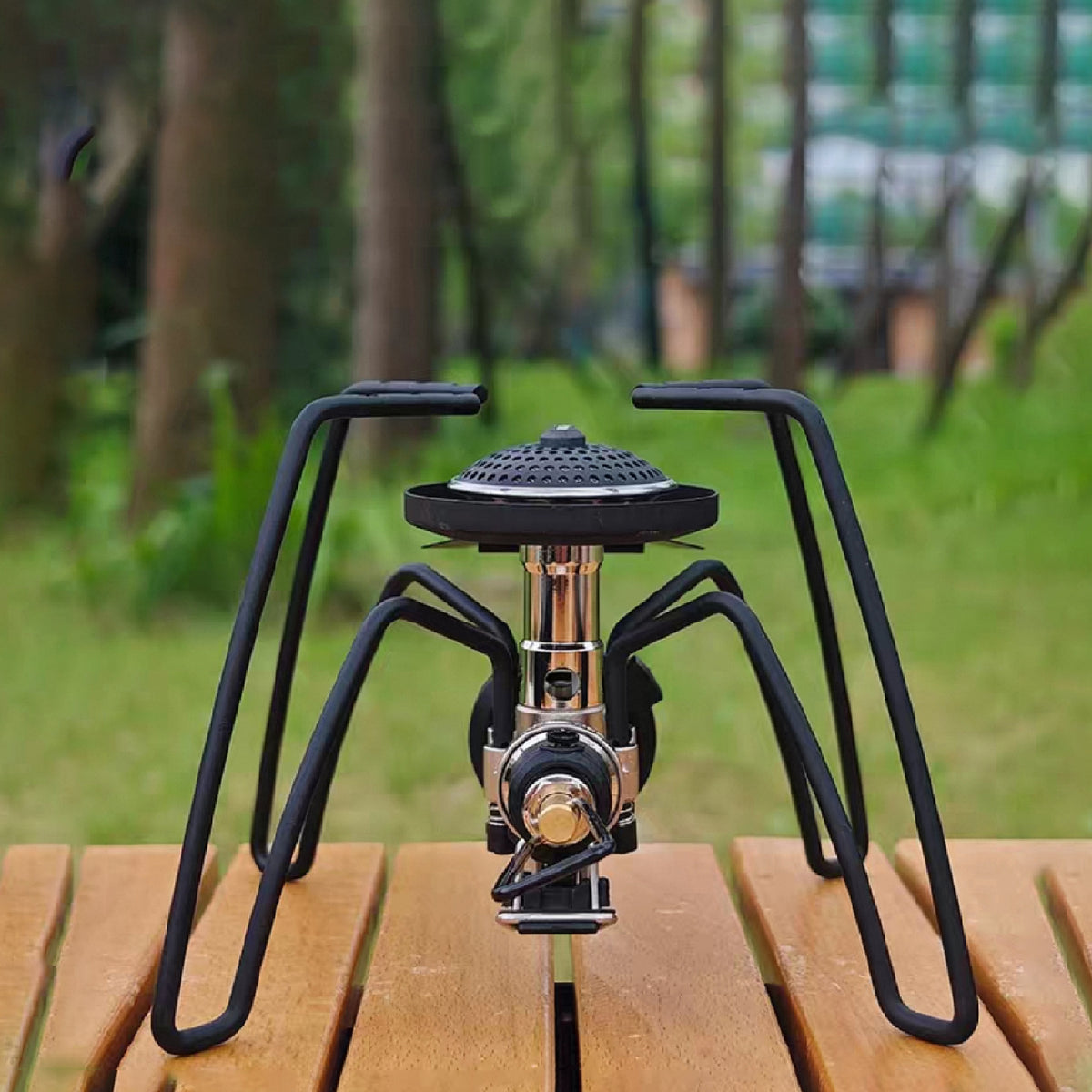 Camping Gas Stove