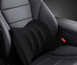 Seat Cushion