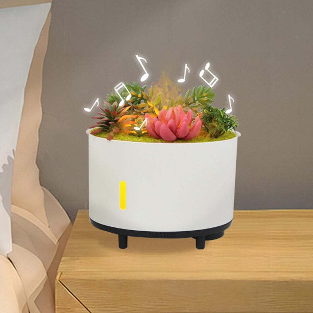 Cool Mist Humidifier