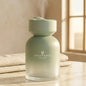 Luxury Car Aroma Air Freshener Diffuser - Cyan