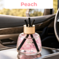 Reed Diffuser Air Freshener