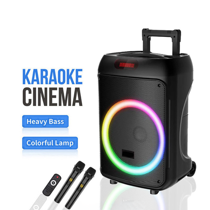 Portable Bluetooth Speaker with Wireless Microphone & Remote