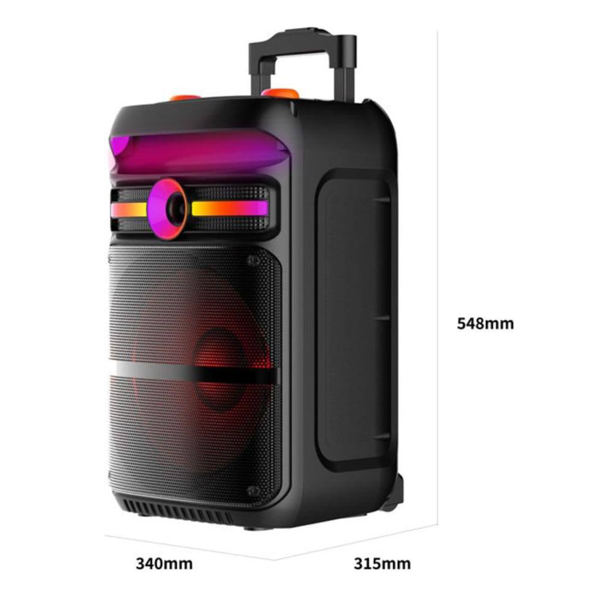 Portable Bluetooth Speaker with Wireless Microphone & Remote