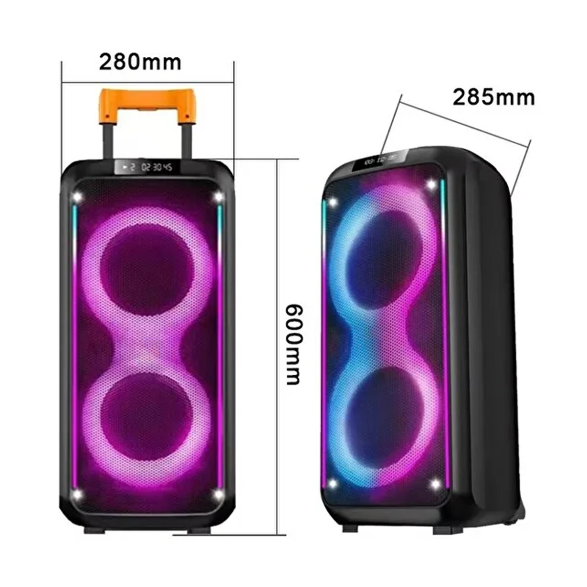 Portable Bluetooth Speaker with Wireless Microphone & Remote