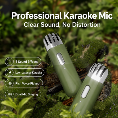 Portable Bluetooth Karaoke Speaker with 2 Microphones