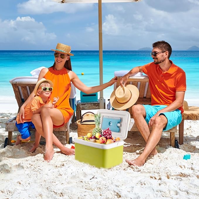 Portable Insulated Cooler Box with Ice Packs - 6L | 9L | 15L