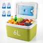 Portable Insulated Cooler Box with Ice Packs - 6L | 9L | 15L