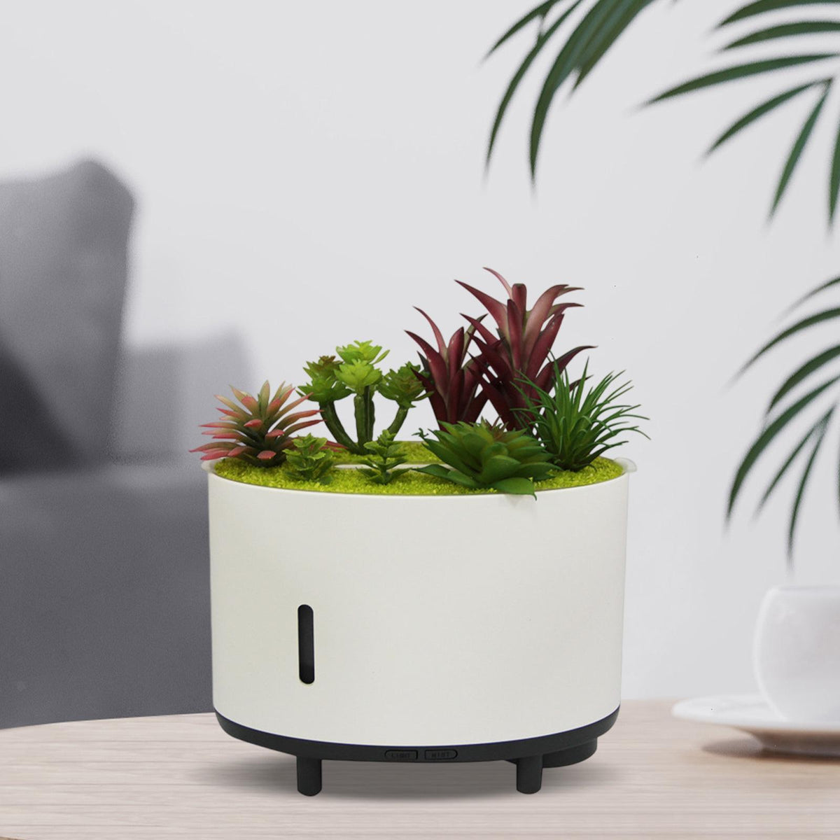 Cool Mist Humidifier