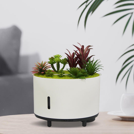 Cool Mist Humidifier