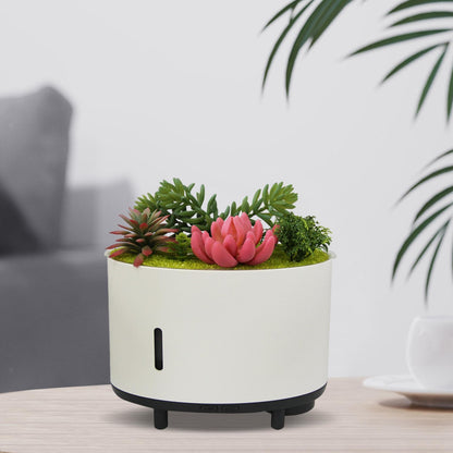 Cool Mist Humidifier