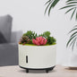 Cool Mist Humidifier