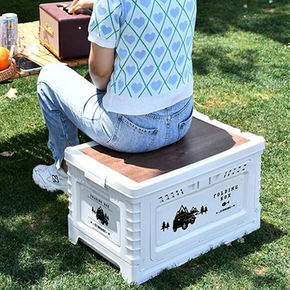 Camping Folding Plastic Storage Box