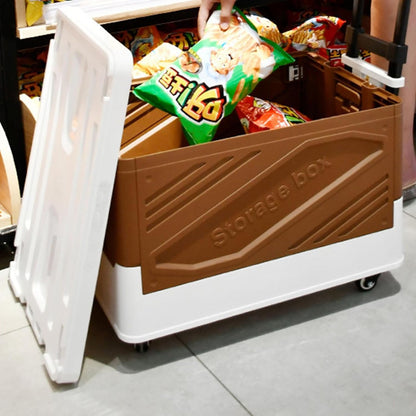 Plastic Storage Bins