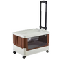 Plastic Storage Bins with Wheel