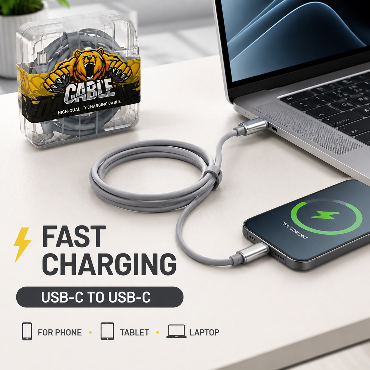 USB C to USB C Fast Charging Cable with Storage Box