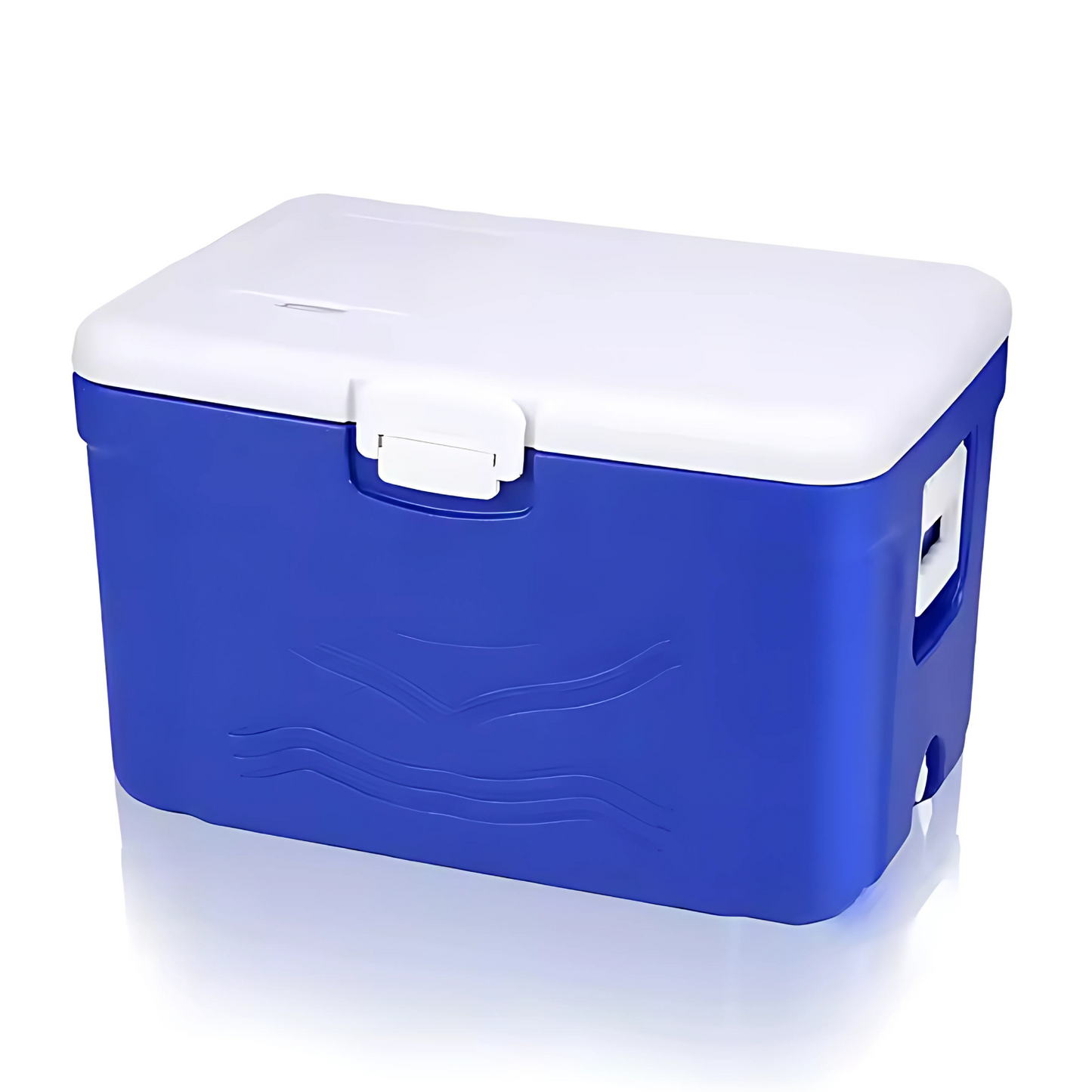 Portable Cooler Box 50L