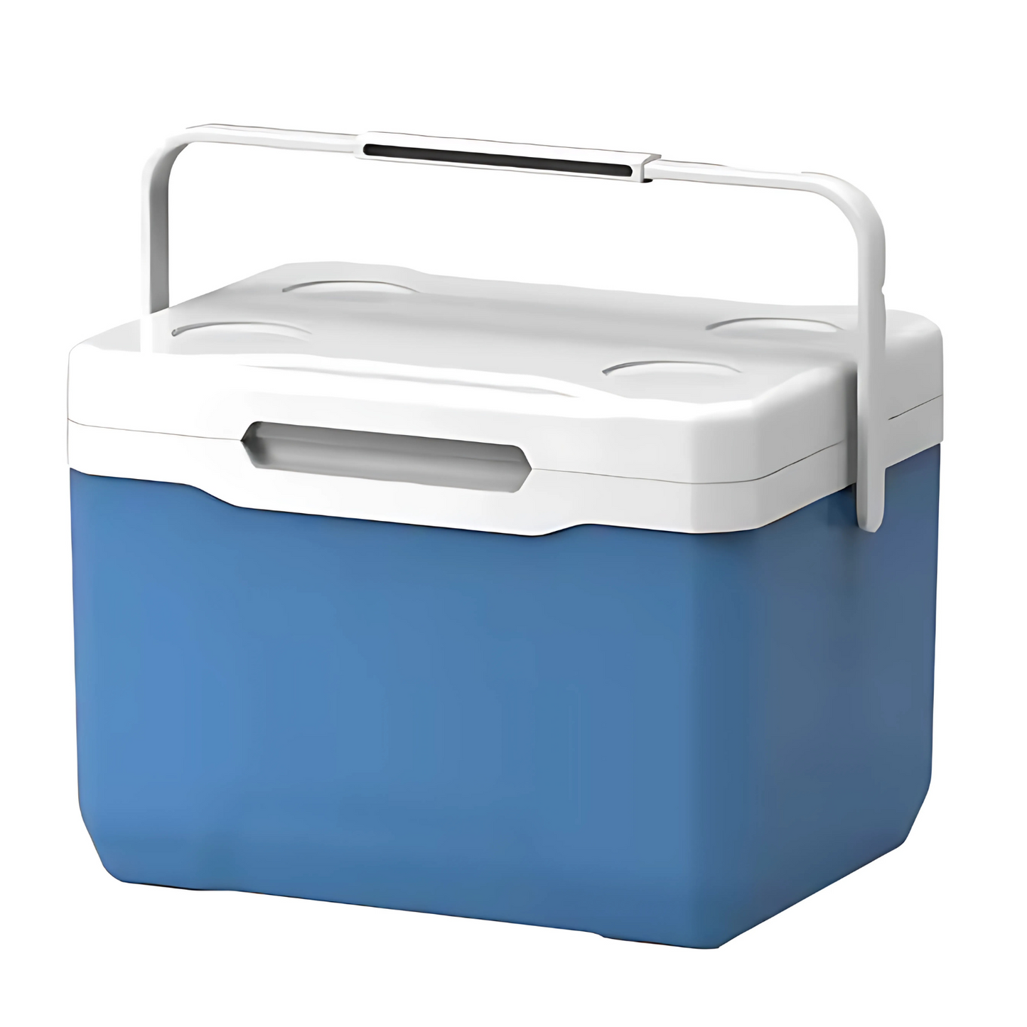 Portable Cooler Box