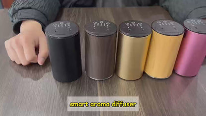 Waterless Car Diffuser